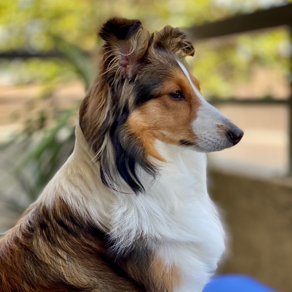 Meet your Posher, Tim